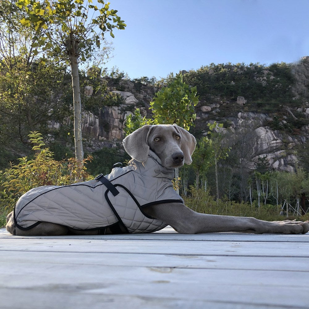 Full Body Reflective Tactical Pet Jacket For Outdoor Protection
